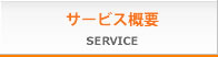 サービス概要